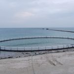 Saumon de france travaux