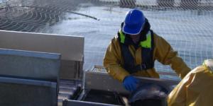 Ferme aquacole saumon de france