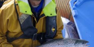 Ferme aquacole saumon de france