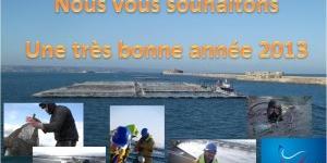 Voeux-2013 saumon de france