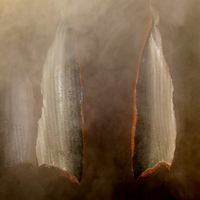 Le fumage à la ficelle du saumon fume